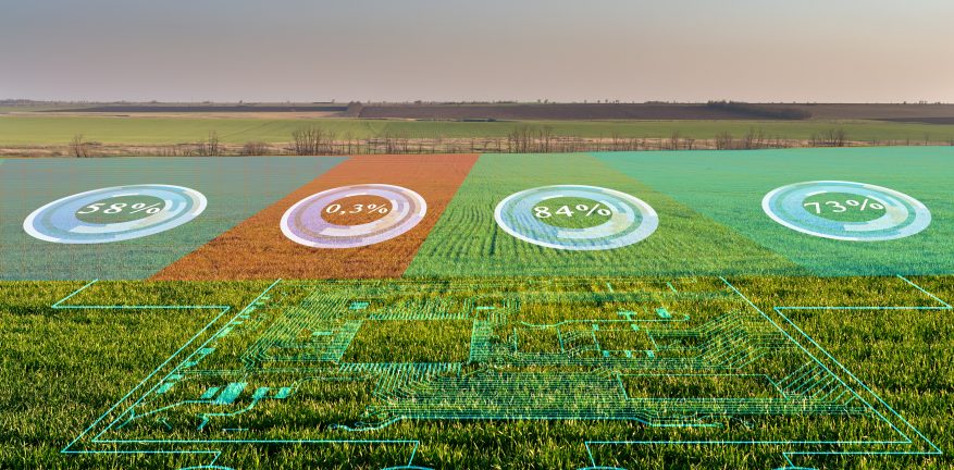 Zyter’s smart-agriculture solution offers farmers real-time insights