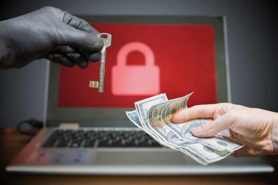 Ransomware profits decline as victims dig in, refuse to pay