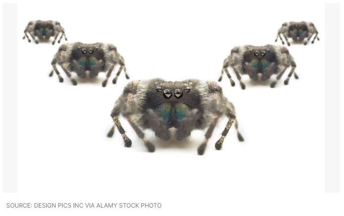As the FBI closes in, Scattered Spider attacks finance, insurance orgs
